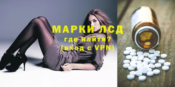 PSILOCYBIN Майский