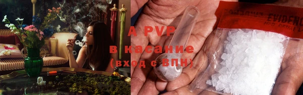 PSILOCYBIN Майский