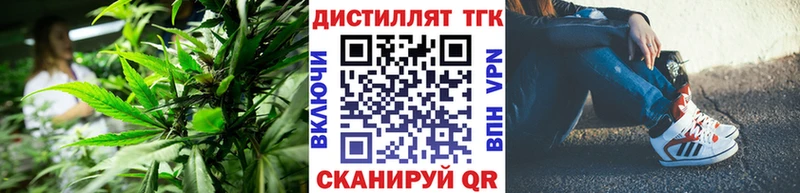Купить закладки  Нижнеудинск  ТГК вейп 